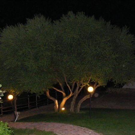 Tenuta Su Vrau โปซาดา ภายนอก รูปภาพ